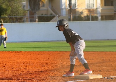 Panda Baseball Player 10